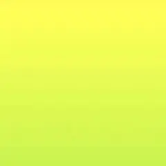 ヒロノブ様✨ご専用ページです 猫猫吐吐 ano ❣️あのちゃん 2枚組