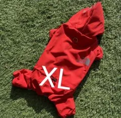 Item thumbnail for item af89d29f-11a6-4e25-83e8-b78060d8944e