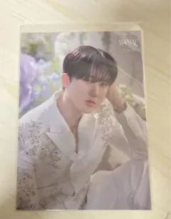 Strayk Kids スキズ チャンビン Maniac ラントレポストカード