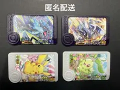 ポケモンフレンダ　ブリジュラス　ピカチュウ　チコリータ