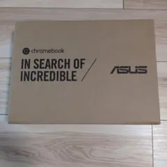 ASUS Chromebook C101PA-OP1 初期化済み アダプター無しのサムネイル