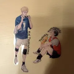 ハイキュー!! ジャンプGIGA 付録 月島蛍 山口忠 クリアカード