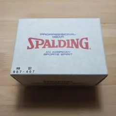 SPALDING　ウォッチ　プロフェッショナル　ギア