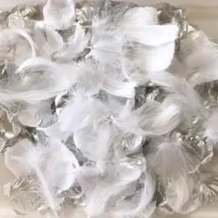✨フェザー入りフラワーシャワー✨シルバー½ホワイト½1000枚セット匿名発送