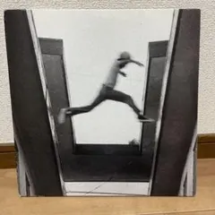 美品】OGRE YOU ASSHOLE 自然とコンピューター レコード LP - メルカリ