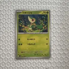 ツタージャ N 在庫15枚 HP70 ポケモンカード ムニキスゼロ ジャローダ
