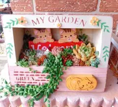 ❤️多肉植物❤️そのまま飾れる寄せ植え❤️うさぎちゃんHouse