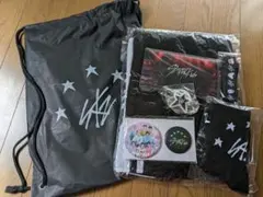 Straykidsスキズアプグレ特典2023☆