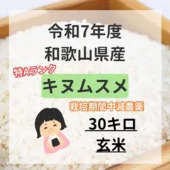 （減農薬）令和7年度 和歌山県産 キヌムスメ 玄米 20kg 特Aランク 減農薬）令和7年度 和歌山県産 キヌムスメ 玄米 20kg 特Aランク - メルカリ