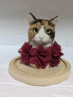 羊毛フェルト猫　サバトラ猫ちゃん ガラスドームケース入り 羊毛フェルト 猫 サバトラ猫ちゃん ガラスドームケース入り - メルカリ