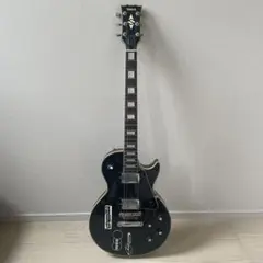 2026年最新】YAMAHA SL430の人気アイテム - メルカリ