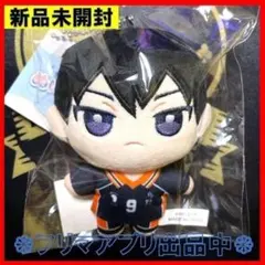 新品未開封 ハイキュー!! ぬいパル 影山飛雄