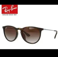 Ray-Ban ブラウン サングラス ケース付き　エリカ