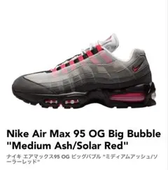 2026年最新】nike airmax95 og solar redの人気アイテム - メルカリ