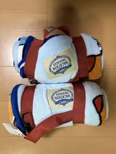 バケーションパッケージ限定のミッキーブランケット 2点セット