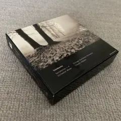 ZION「Mountainphonic」光村龍哉 - メルカリ
