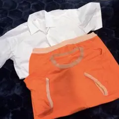 Item thumbnail for item bfbf1bd9-5b44-4d59-b0a2-8eba2f356dae