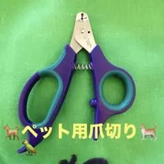 Item thumbnail for item 8907e4ef-c96c-4c3d-a7ba-1d395570ddd5