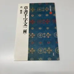 中国法書ガイド44 草書千文字 懐素 二玄社 - メルカリ