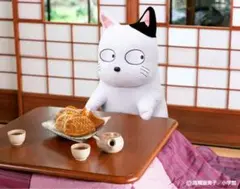 こたつ猫 法被 うる星やつら - メルカリ