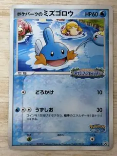 ポケパークのミズゴロウ2006年発行 プロモ - メルカリ