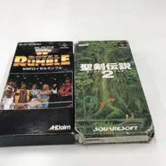 2026年最新】WWFロイヤルランブルの人気アイテム - メルカリ