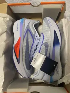【ちょもた様専用】NIKE ナイキ　ズームフライ6 26.0cm