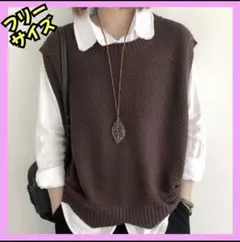 ニットベスト レディース ジレ フリーサイズ 重ね着 シンプル 体型カバー 春