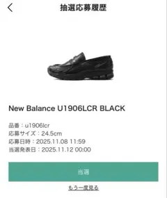 w*e様 New Balance 1906L Black Croc 24.5