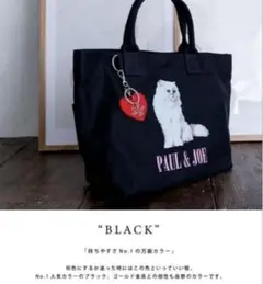 新品ポール&ジョーアクセソワ　キャンパスバック
