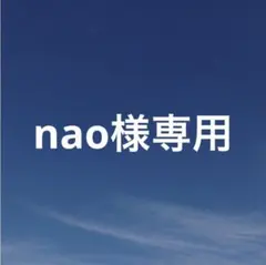 nao様 リクエスト 8点 まとめ商品