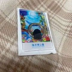 海洋博公園 スマホリング 沖縄 ジンベエザメ 美ら海水族館