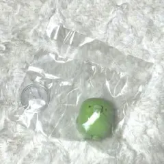 くちぱっち　ガチャガチャ　カプセルフロッキーズ　たまごっち