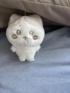 ちいかわ　めいぱれっと　ハチワレ