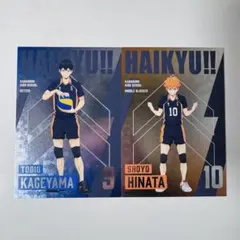 ハイキュー デコラートコレクション 第2弾 影山 日向