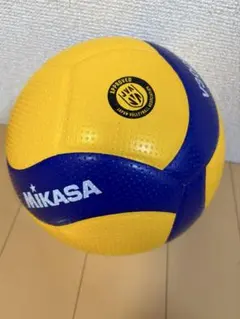 5号 バレーボール