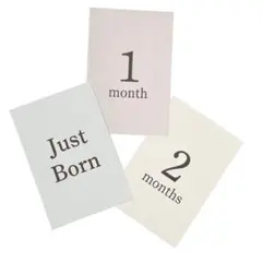 Item thumbnail for item 8f40b8e8-bfc5-49d8-b5ea-bbc8c41fd093