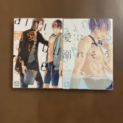 愛に嬲られる　愛に溺れそう 2冊セット 本庄りえ
