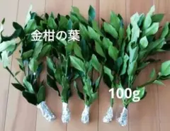 살충제를 사용하지 않았습니다!금귤 잎 약 100g은 구매 및 결제 후 수확하여 배송합니다!