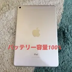 iPad mini5 Wi-Fi+セルラー 64GB シルバー