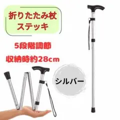 Item thumbnail for item b2b750e3-bd1c-4bd0-968b-cc7630932d31