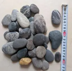 天然石　平らな石　丸石　楕円　工作　水槽　置石　盆栽　庭