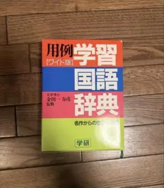 Item thumbnail for item 42899f43-deda-427f-bf38-981fdd5bcfed