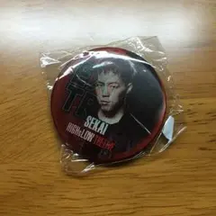 世界 HIGH&LOW 缶バッチ