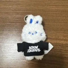 NewJeans ぬいぐるみ キーホルダーのサムネイル