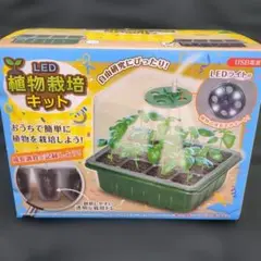 ガラス 瓶 コルク led ライト スケープ 花瓶 プランター 水耕栽培 10個