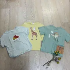 ざんねんないきもの事典　Tシャツ 3枚セット