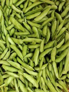 枝豆　700g 良品のサムネイル