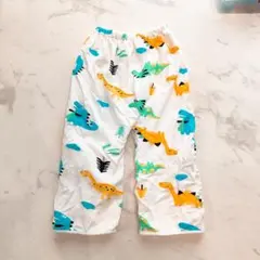 SORONSO おねしょパンツ XXL 恐竜柄