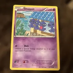 ポケモンカード ゼニガメ 英語版 旧裏 squirtle 63/102 - メルカリ
